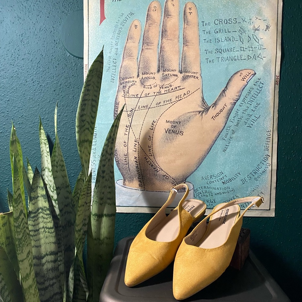 FeverSole Suede Flats size 8.5
